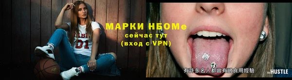 тгк Лагань