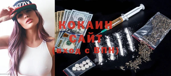 тгк Лагань
