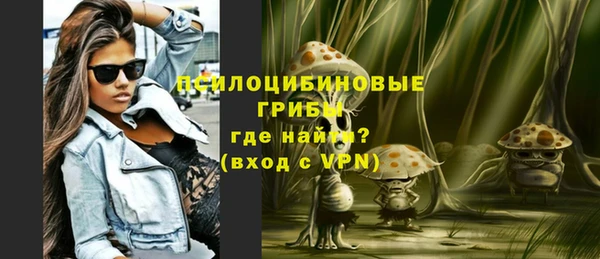 тгк Лагань
