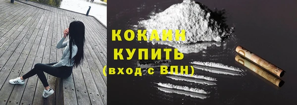 тгк Лагань