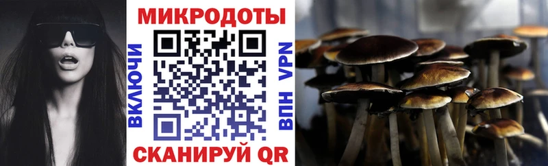 Псилоцибиновые грибы GOLDEN TEACHER  Купить где  Чёрмоз 